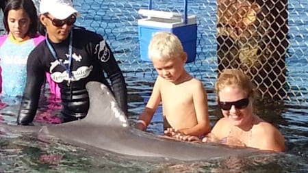 week #19 en #20 5 Dolphin Encounter Curacao