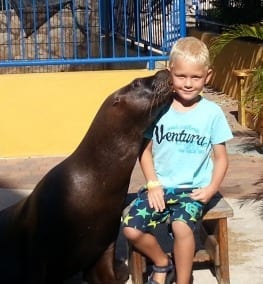 week #19 en #20 6 zeeleeuw Sea Aquarium Curacao