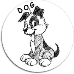 Honden op Curaçao 3 Stichting DOG Curacao voor de opvang van zwerfhonden