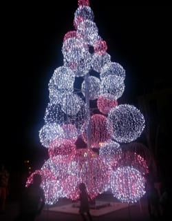 week #19 en #20 4 kerstboom Brionplein Curacao
