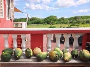 3x Brunchen met het hele gezin 6 hofi cas cora