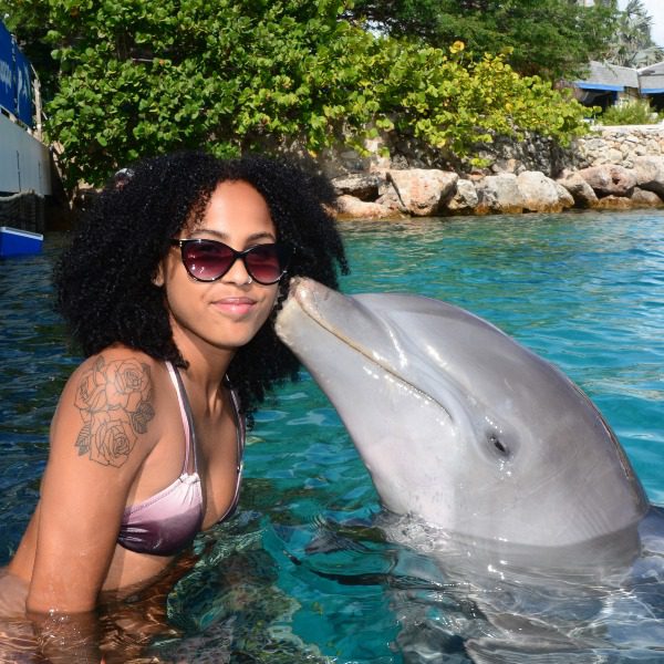 Dolphin Encounter 12 Dolphin Encounter Curacao