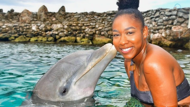 Dolphin Encounter 7 dolfijn kus dolphin encounter curacao 800x450 1