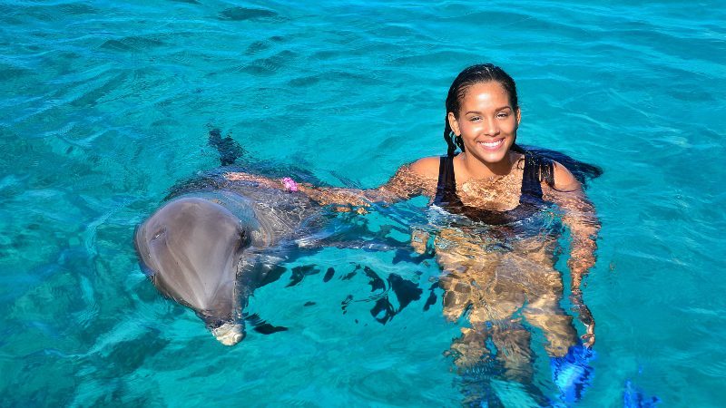 Dolphin Swim 5 dolphin swim dolfijn zwemmen curacao aaien 800x450 1