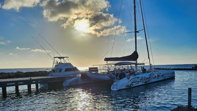 Cruzeiro à vela ao pôr do sol - Catamarã grande 6 bluefinn sunset cruise catamaran curacao haven mood 800x450 1