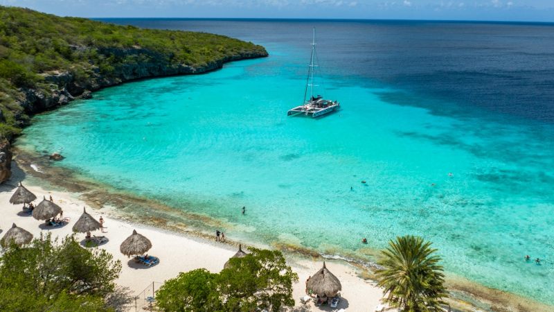 Westkust Cruise - Catamaran 11 Westcoast catamaran BlueFinn Cas Abou 800x450 1