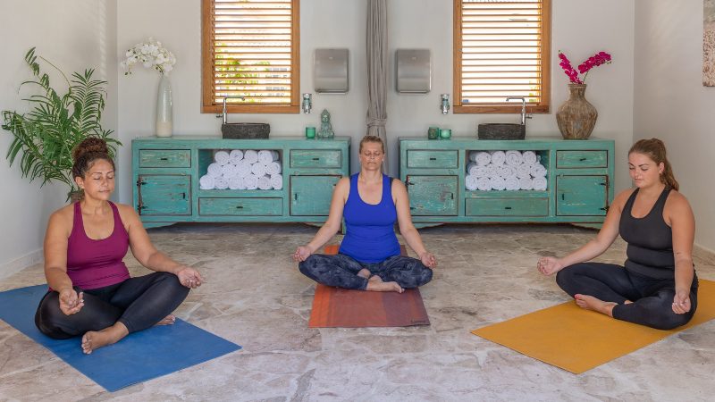 Dolphin Suites & Wellness 15 Dolphin SuitesCuracao wellness retreat 800x450 1