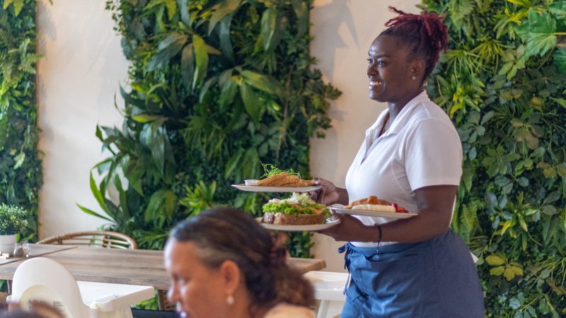 Dolphin Suites & Wellness 25 Reefs Co Dolphin Suites Curacao bediening 800x450 1