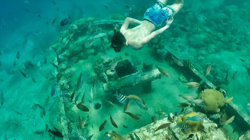 3-in-1 Snorkeltrip Catamaran 8 catamaran snorkel tour bluefinn 800x450 1