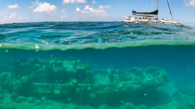 3-in-1 Snorkeltrip Catamaran 7 catamaran tugboat snorkel curacao 800x450 1