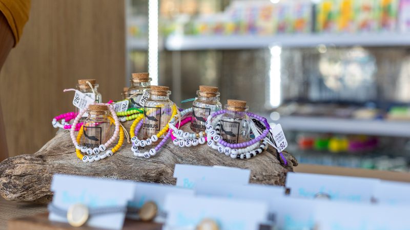 Dolphin Suites & Wellness 29 reefs co minimarket winkel Dolphin Suites Mambo Curacao 800x450 1