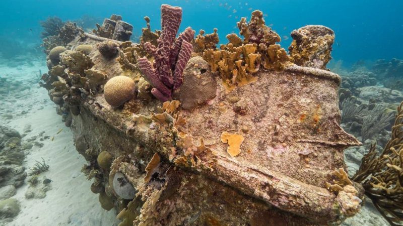 3-in-1 Snorkeltrip Catamaran 14 3-in-1 snorkel saba tugboat curacao