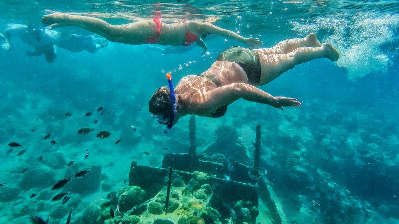 3-in-1 Snorkeltrip Catamaran 11 snorkeltrip curacao catamaran tugboat 800x450 1