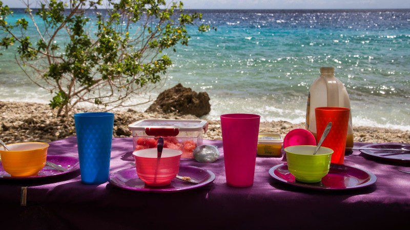 Privétour met terreinwagen 'Surprise Me' 12 private tour picknick lunch curacao 800x450 1