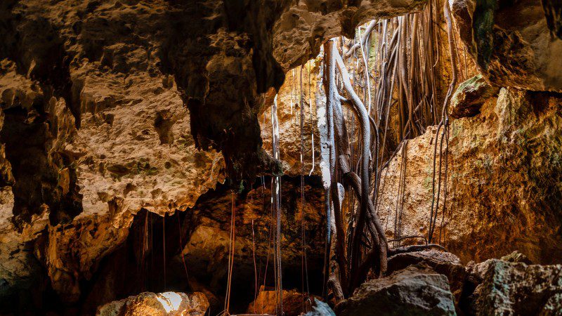 Privétour met terreinwagen 'Surprise Me' 17 privetour curacao grot surprise me 800x450 1