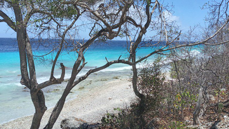 Privétour met terreinwagen 'Surprise Me' 11 strand curacao privetour terreinwagen 800x450 1