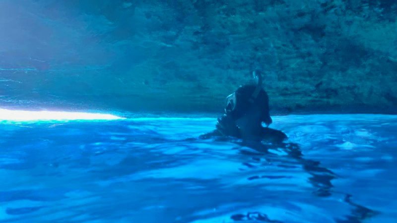 Privé boot Curacao 18 boot trip blue room prive private 800x450 1