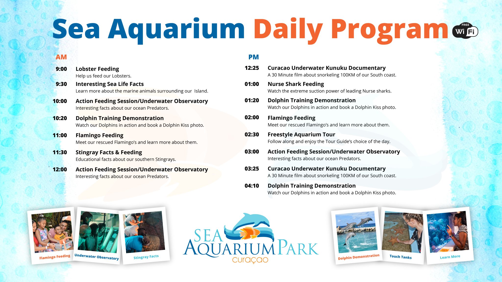 Dagprogramma Sea Aquarium Park 12 Sea Aquarium Curacao dagprogramma