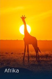 KLM Real Deal Dagen 8 real deal dagen afrika 183x275 1