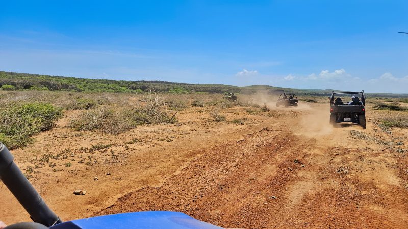 Buggy tour Off-Road 'Go West' 10 buggy curacao hato vlakte stof 800x450 1