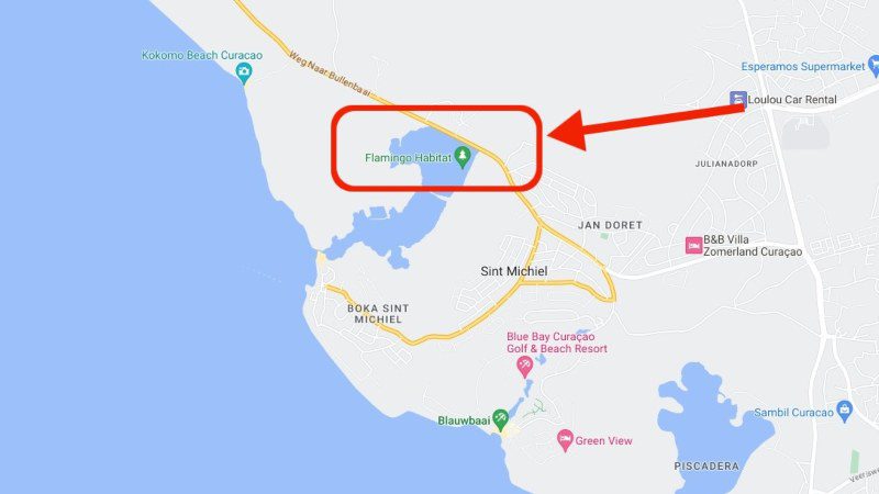 Locations to (look forward to).... 7 flamingos st michiel weg bullenbaai 800x450 1