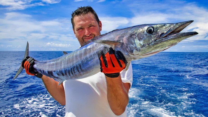 Boottrips op Curacao 6 zeevissen curacao deepsea fishing