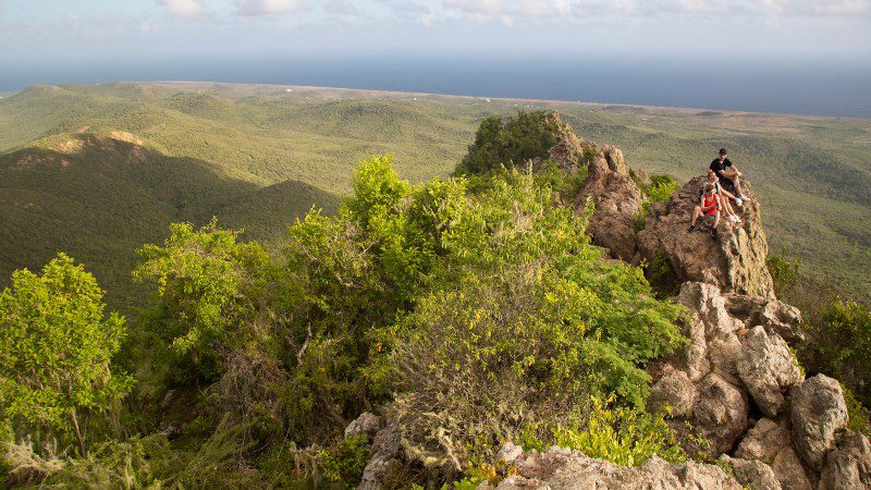 Inspiração em Curaçao: Cultura, natureza e história 9 Christoffel mountain Curaçao Christoffel Park