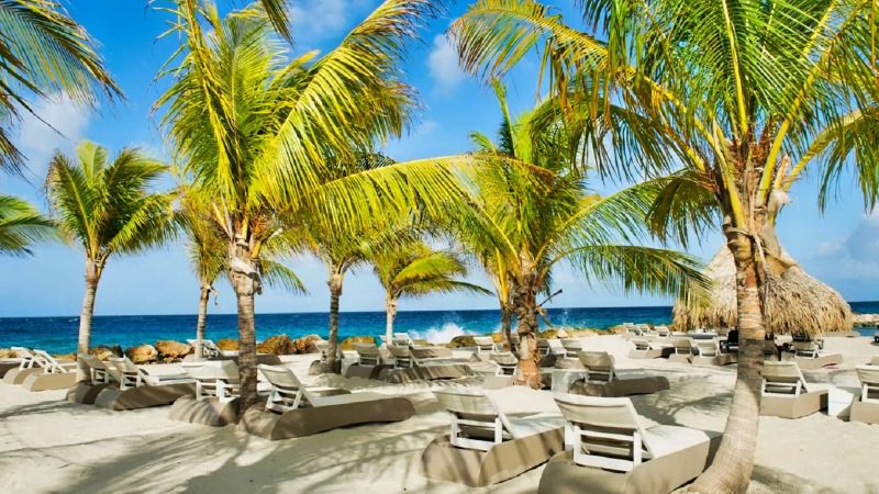 Corendon pakketreis Curacao 14 livingstone Jan Thiel strand 800x450 1