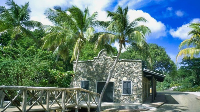 Hofi Mango 15 Hofi Mango Curacao distilleerderij 800x450 1