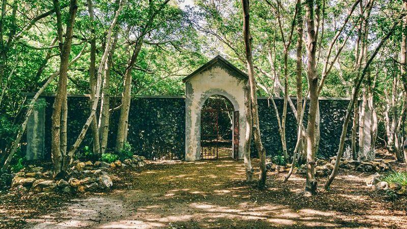 Hofi Mango 18 Hofi Mango Curacao vrijheidsmuur 800x450 1