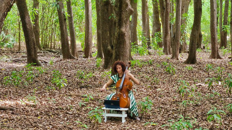 Hofi Mango 13 hofi mango cello mangobos 800x450 1