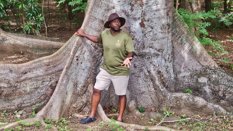 Hofi Mango 14 hofi mango curacao oude boom guided tour 800x450 1