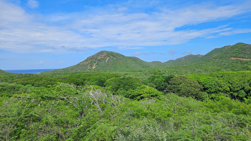 Hofi Mango 10 hofi mango curacao uitzicht christoffelberg 800x450 1