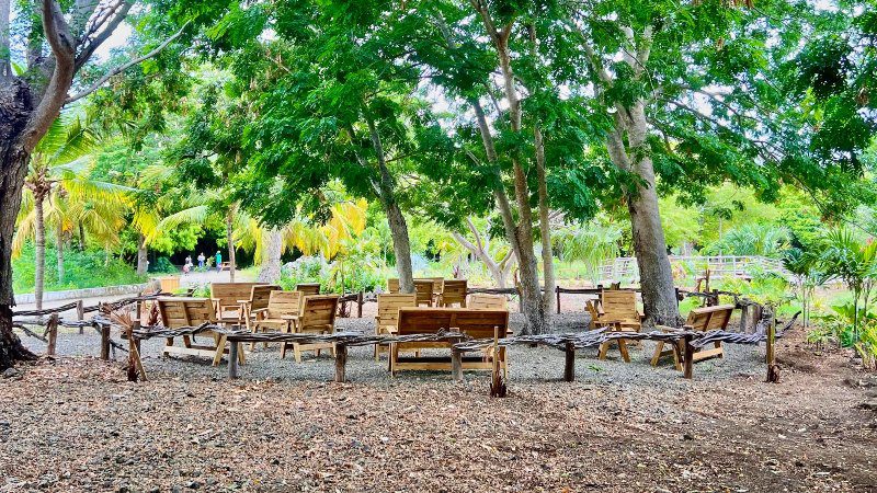 Hofi Mango 16 hofi mango zitjes in het bos 800x450 1