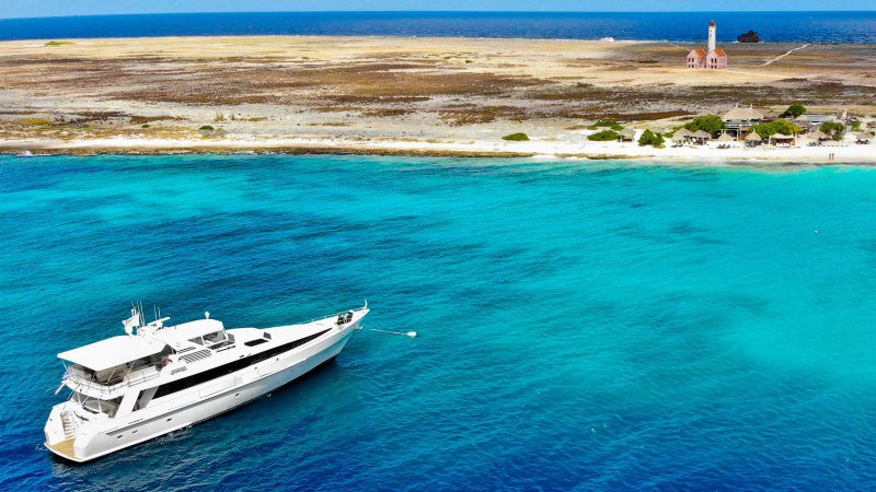 Klein Curacao | Miss Ann 5 Miss Ann Klein Curacao korting 800x450 1