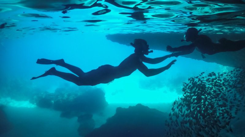 Blue Room boottrip 4 blue room curacao onderwater 800x450 1