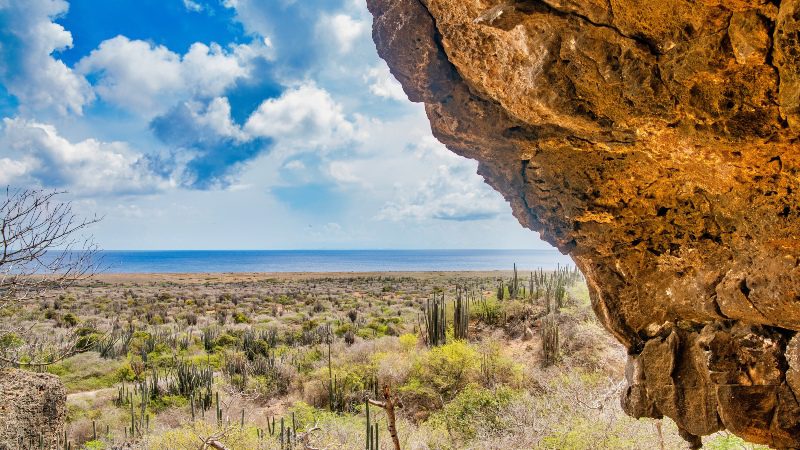 Off-Road Jeepsafari 'East & Snorkel' 10 Jeep safari off road Curacao noordoost kust 800x450 1