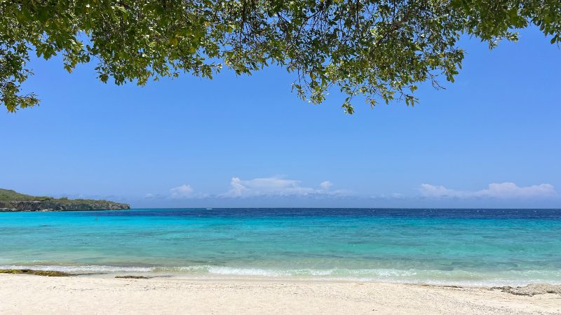 Stranden: Porto Mari 10 porto marie strand beach curacao varkens 800x450 1