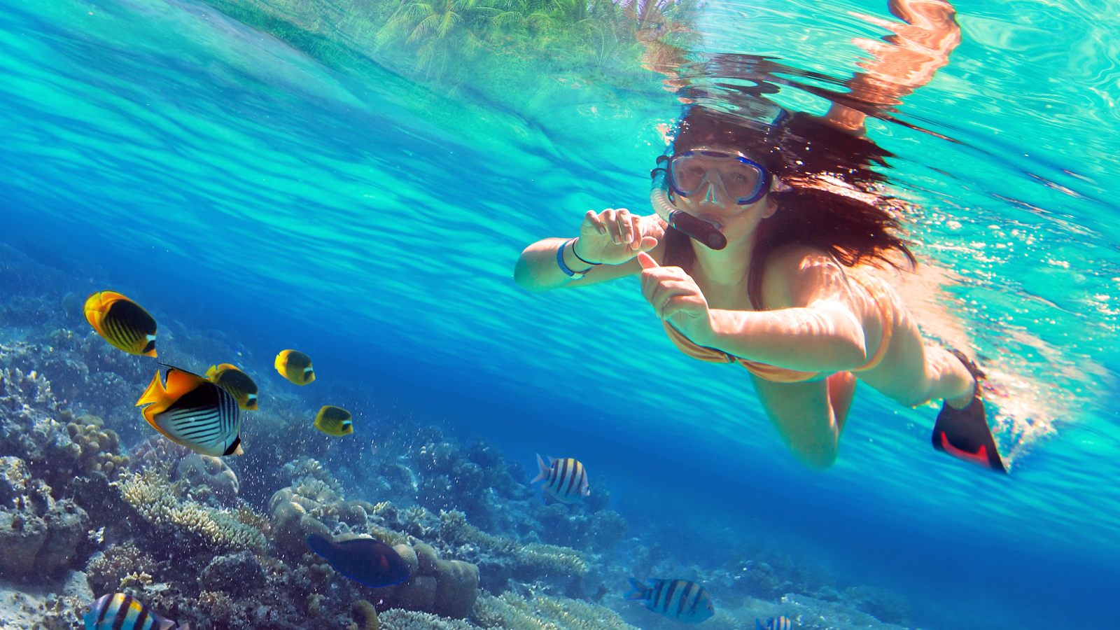 Snorkel Curacao beste trips