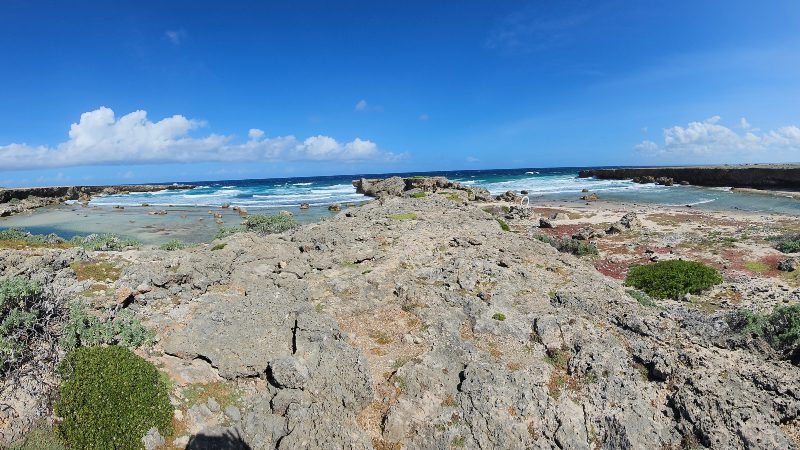 Noord- & Zuidkust: Buggy, boot & BBQ 6 curacao noordkust boot buggy bbq tour 800x450 2