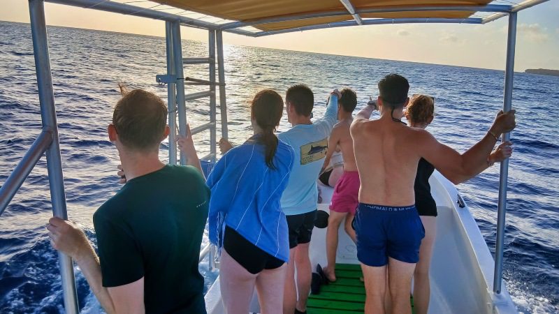 Noord- & Zuidkust: Buggy, boot & BBQ 15 noord zuidkust boot buggy tour blue room 800x450 1