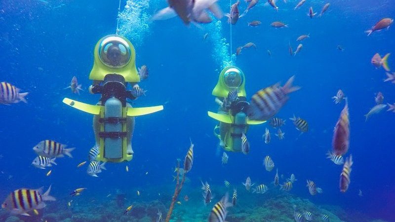 Aquafari Curacao snorkelen